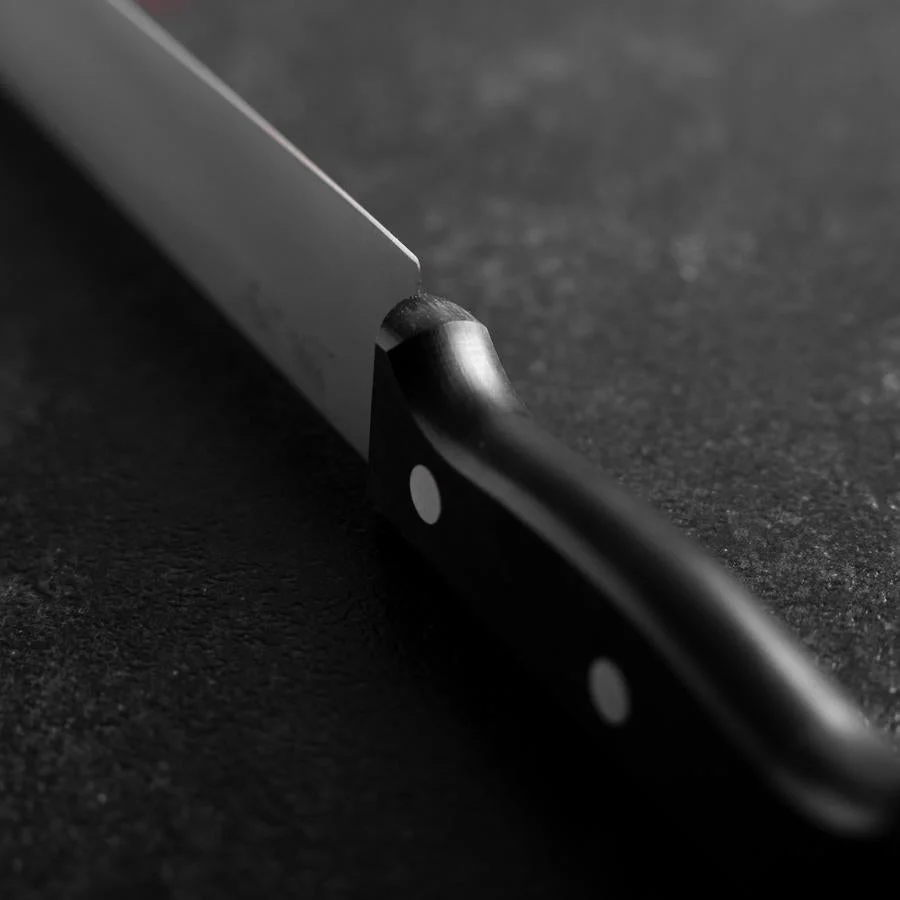 Kuchenmesser Molybdän Poliert Westlicher Griff 270mm - Image 4