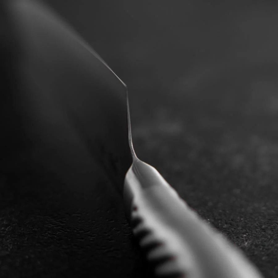 Gyuto AUS-10 Poliert Edelstahl Griff 210mm - Image 4