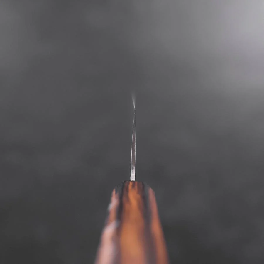 Gyuto AUS-10 Tsuchime Damast Sumi Urushi Griff 240mm - Image 4
