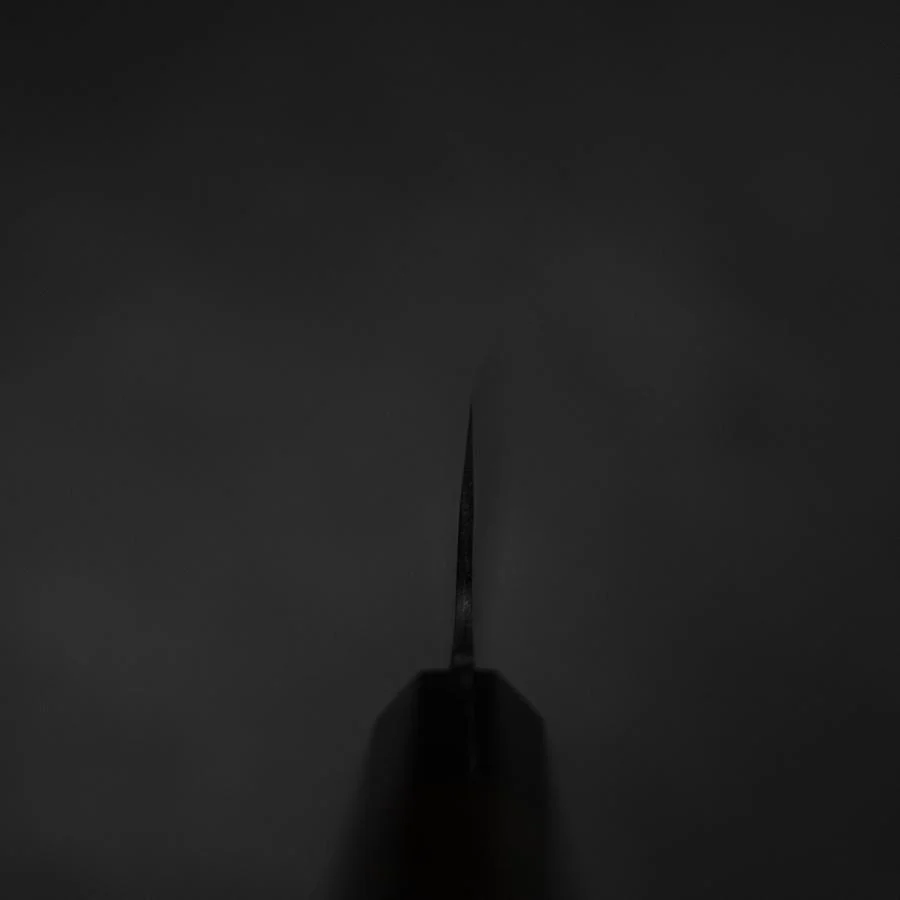 Gyuto Blue Steel #2 Kurouchi Chokin Kranich Büffelhorn und Ebenholz Griff 210mm - Image 4