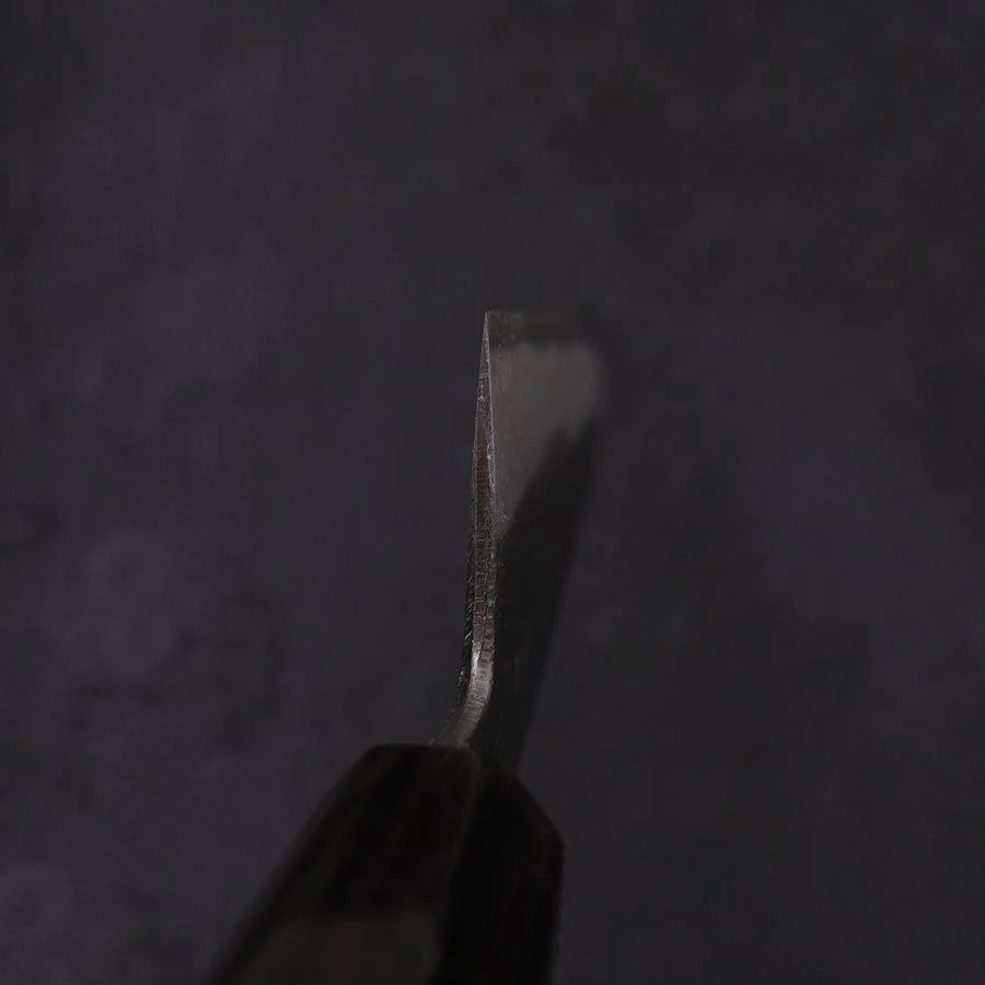 Gyuto Blue Steel #2 Kurouchi Chokin "Schlange In Sakura" Büffelhorn und Ebenholz 210mm - Image 6