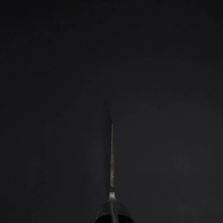 Gyuto VG-1 Poliert Schwarzer Westlicher Griff 210mm - Image 4