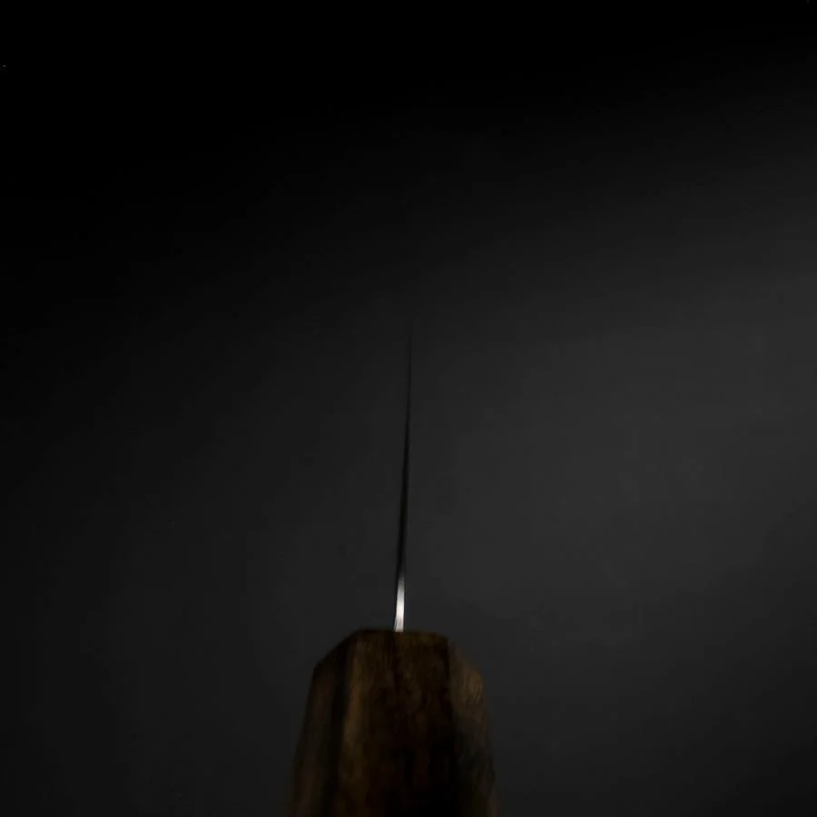 Gyuto VG-10 Damast Eschenholz Griff 195mm - Image 4
