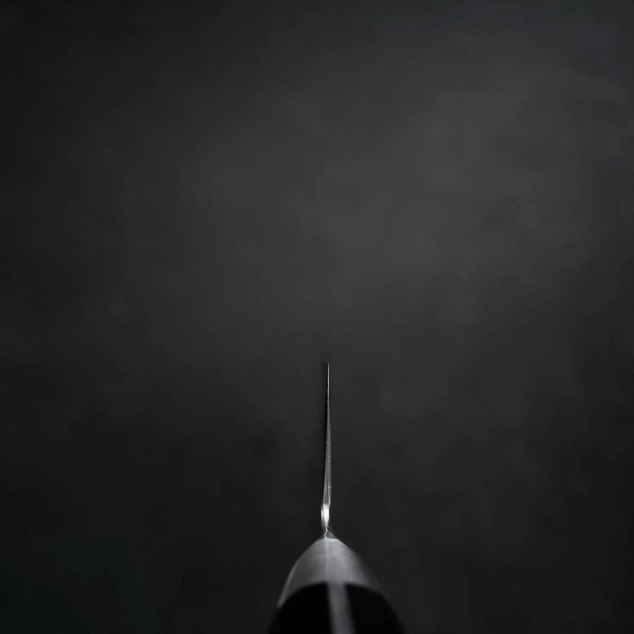 Gyuto VG-10 Damast Schwarzer Westlicher Griff 200mm - Image 4