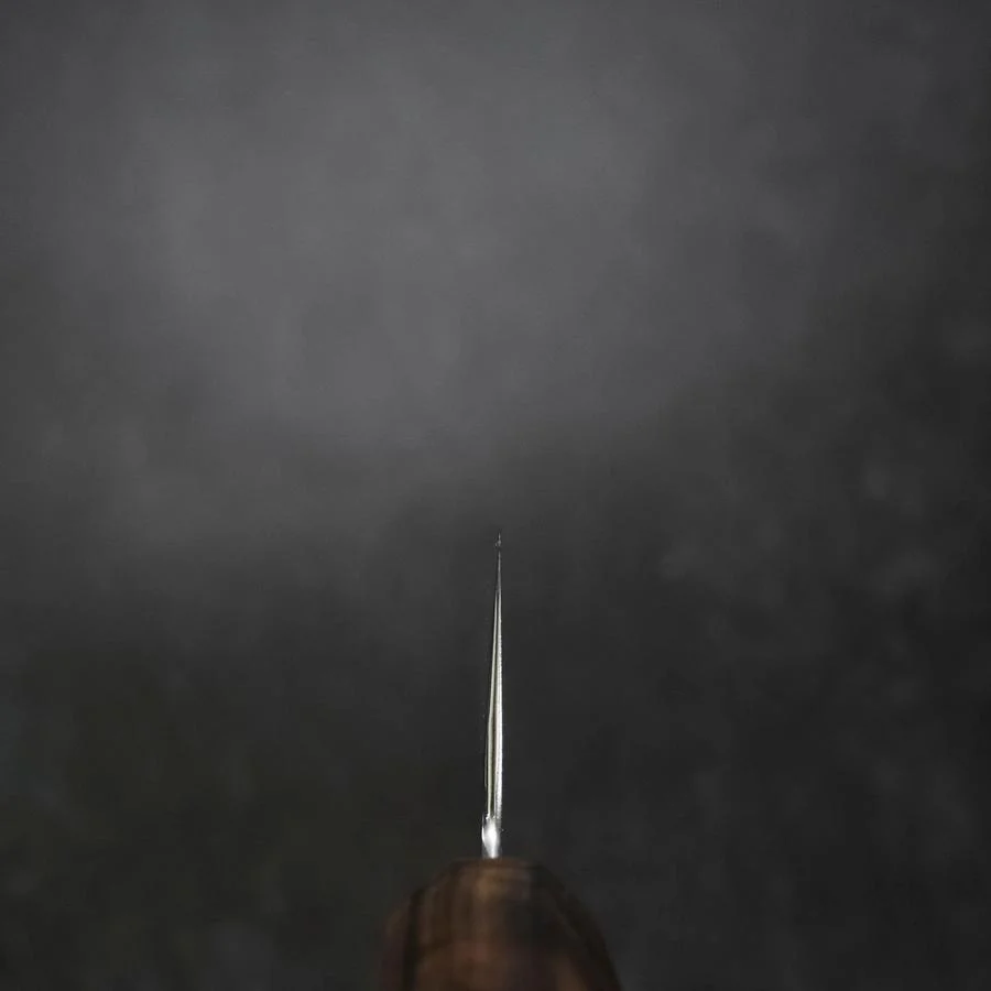 Gyuto VG-10 Tsuchime Damast Eschenholz Griff 240mm - Image 4
