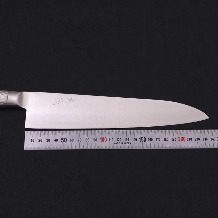 Gyuto VG-5 Poliert Molybdän Westlicher Griff 240mm - Image 7