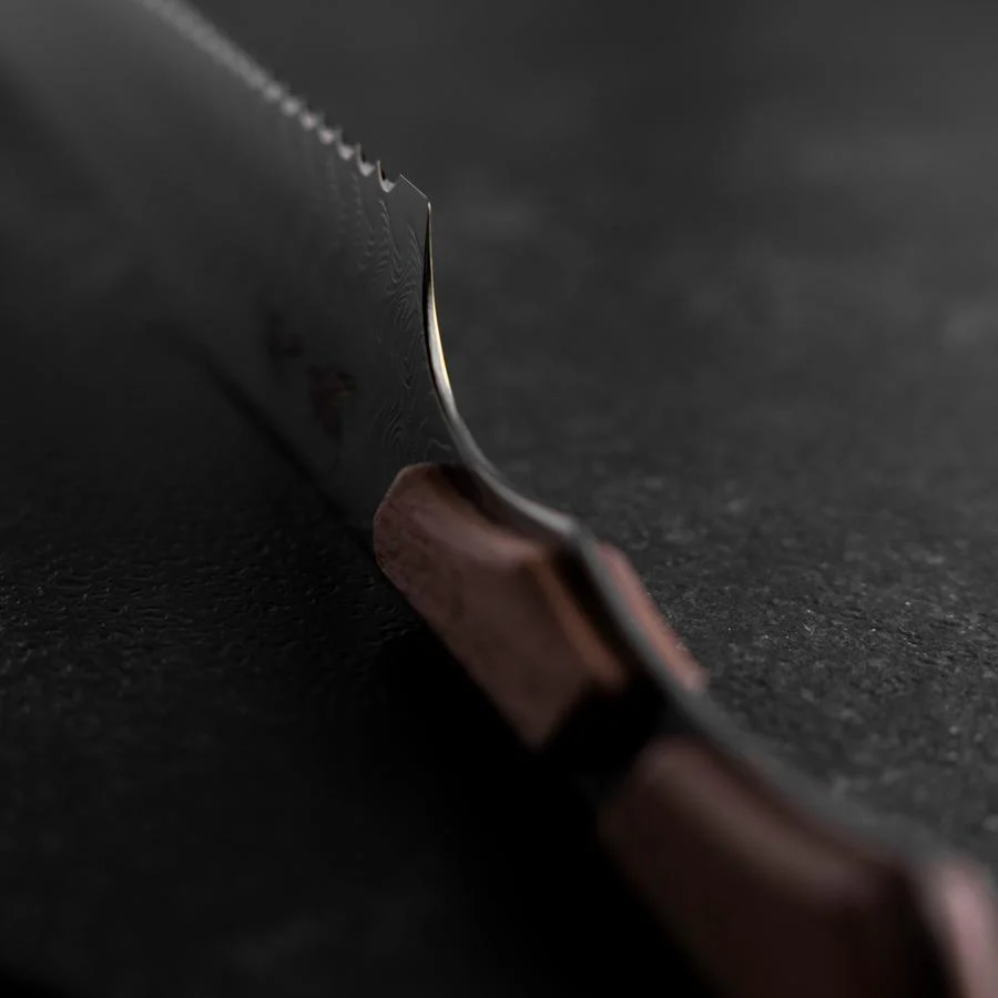 Kiritsuke Brotmesser VG-10 Kagami Damast Ahornholz Griff 210mm - Schwarz - Image 4