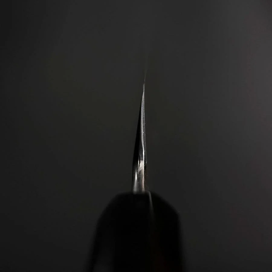Kiritsuke Silver Steel #3 Poliert Büffelhorn und Ebenholz Griff 260mm - Image 4