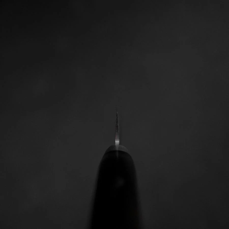 Petty VG-10 Kagami Tsuchime Damast Westlicher Schwarzer Griff 135mm - Image 4
