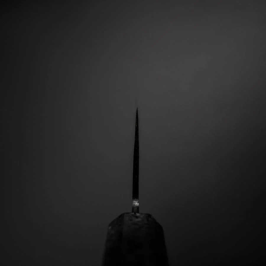 Santoku Blue Steel #2 Kurouchi Schwarzer Ishime Urushi Griff 165mm - Image 4