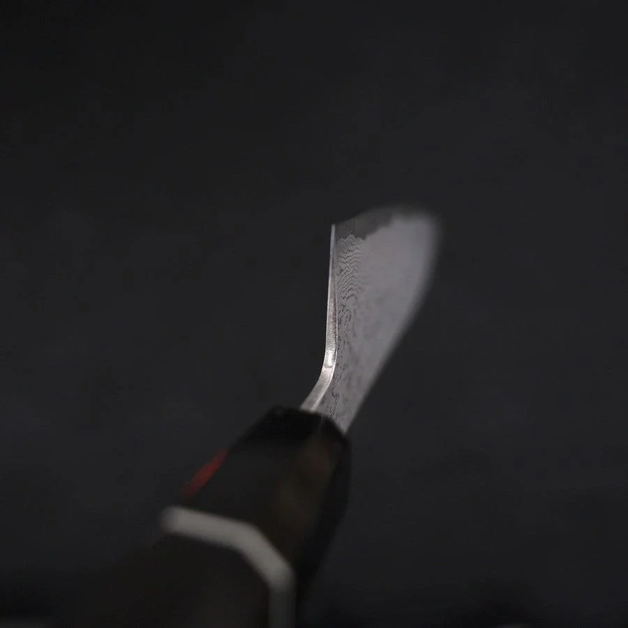 Santoku SG-2 Damast Büffelhorn und Ebenholz Griff 165mm - Image 4