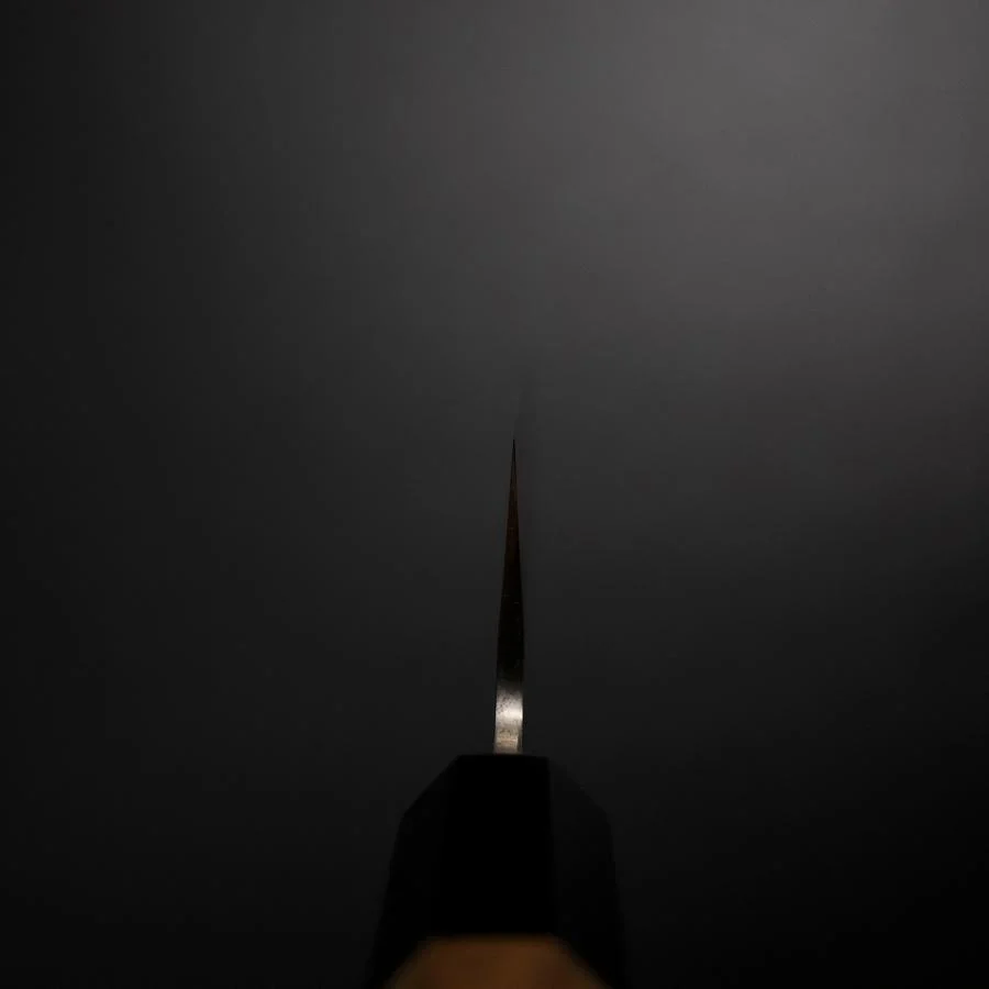Santoku Silver Steel #3 Poliert Büffelhorn und Walnussholz Griff 155mm - Image 4