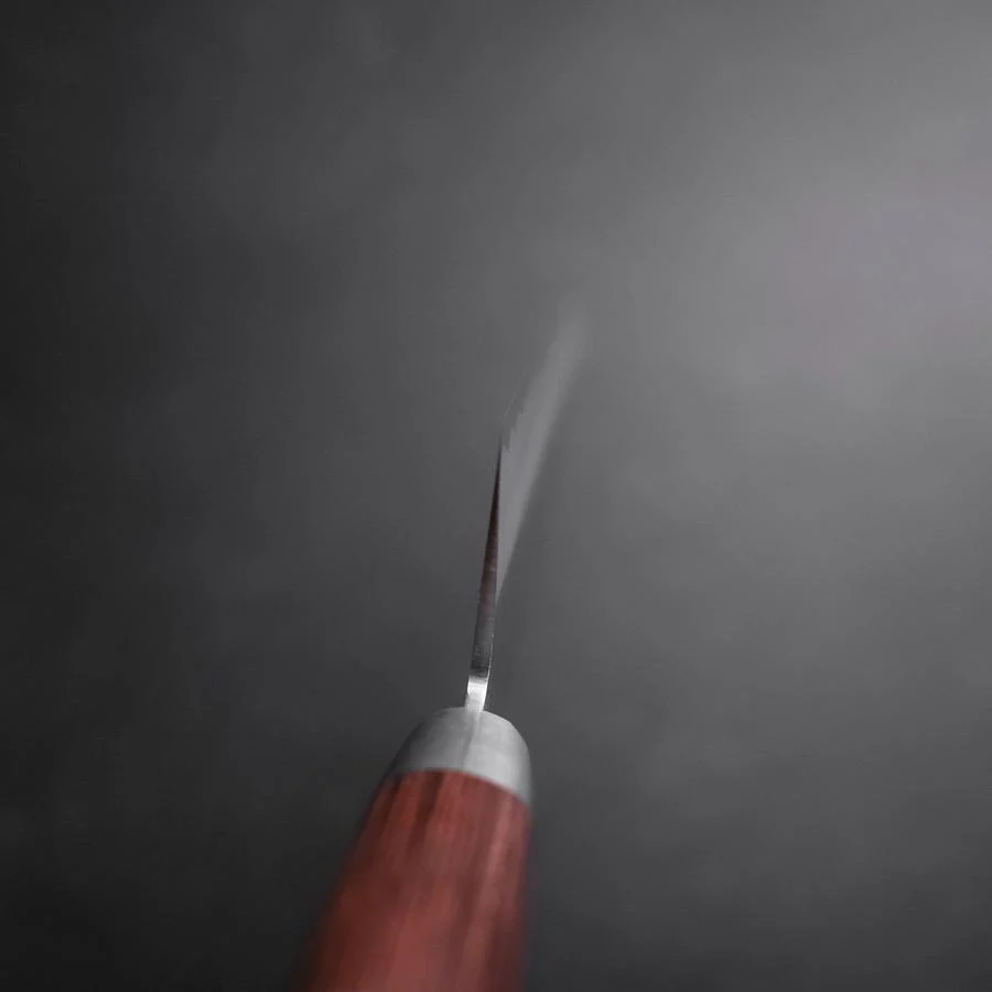 Santoku VG-10 Tsuchime Mahagoni Griff 175mm - Image 4