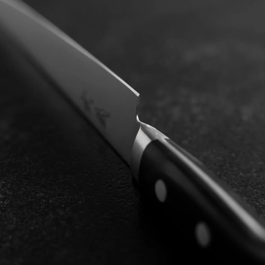 Sujihiki Molybdän Poliert Schwarzer Westlicher Griff 210mm - Image 4