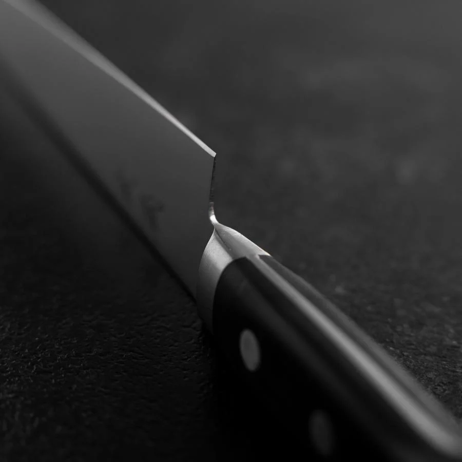 Sujihiki Molybdän Poliert Schwarzer Westlicher Griff 250mm - Image 4