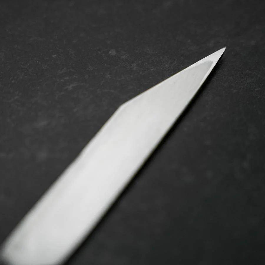 Unagisaki Aal Filetiermesser Blue Steel #1 - Image 5